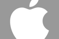 7 Key Features of Apple iOS