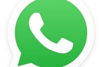 How to Backup WhatsApp Data on Android How to Backup WhatsApp Data on Android